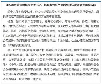 违规从事营利性活动，江西萍乡市应急管理局原