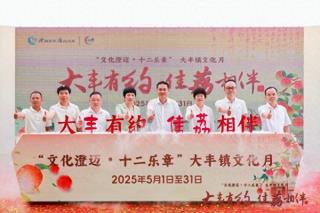 2025“文化澄迈·十二乐章”之大丰镇“大丰有约 佳荔相伴”文化月启幕