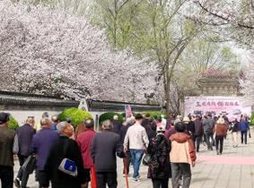 河南鄢陵：从一“花”独秀到繁“花”似锦