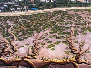 浙江海宁发布钱塘江潮汐树最佳拍摄点位