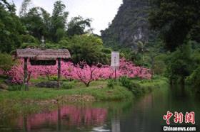 探秘桂林台商“山水景区+”的人文密码