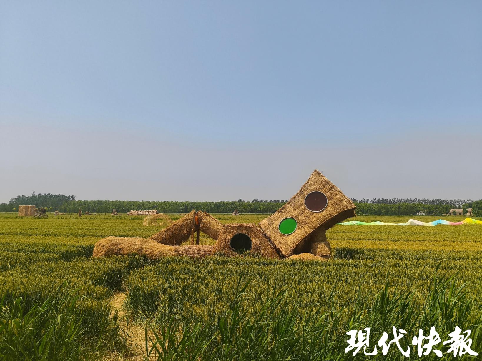 艺术绽放！“茉莉花开・盐艺直达”行动启航