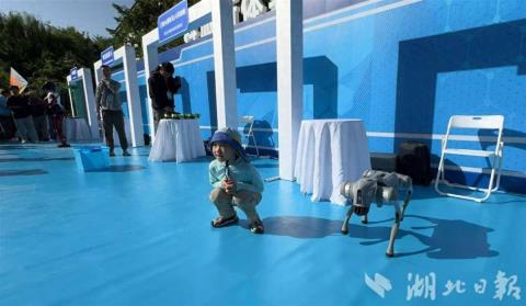 中国旅游日湖北分会场好吸睛：神农架来了机器狗 5岁小游客兴奋地与“狗狗”合影
