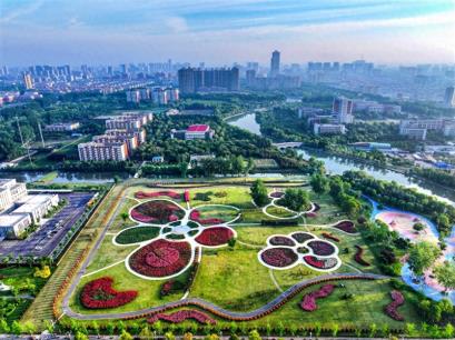 读懂城市丨“花木之乡”沭阳，一场持续五年的“诚信实验”