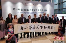 中国常驻联合国代表团举办“国际茶日”庆祝活动
