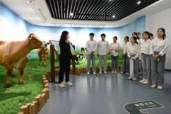 河北省邢台市：“万名学子游邢襄”新质发展研学活动开展