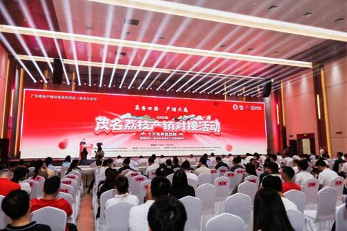 “十万电商卖荔枝”启动！广东首场荔枝产销对接活动在茂名打响第一枪