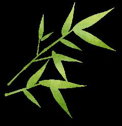 速看！江西各地端午活动攻略来了！