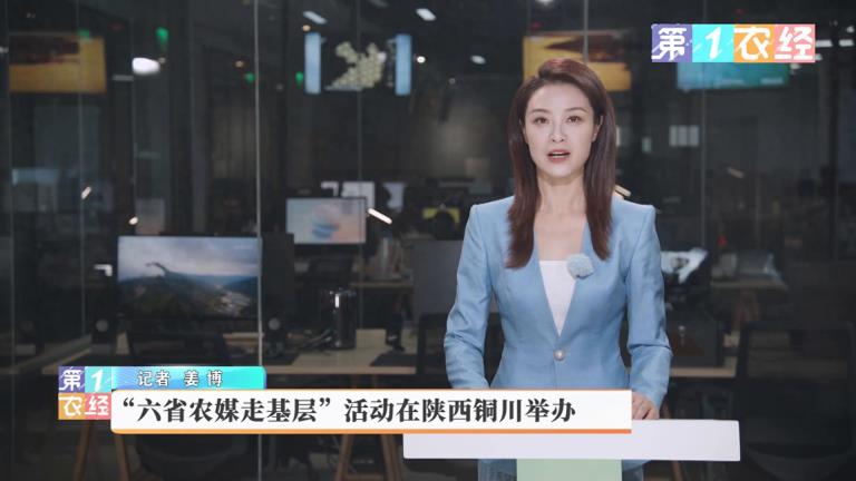 六省农媒走基层活动在铜川市印台区举办