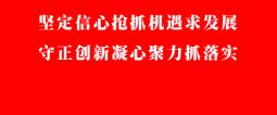 预告！惠东乡村端午龙舟活动合集→