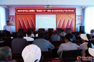 庆阳合水县帮扶工作推进会暨抵制高价彩礼宣传活动成功举办