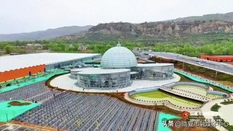 探索花卉科技 感受自然魅力——临夏市第一中学在花卉艺术中心开展研学实践活动