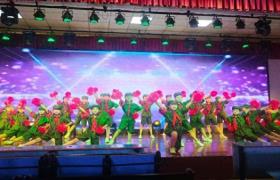 六安市雷锋路小学成功举办第十五届校园文化艺术节展演活动