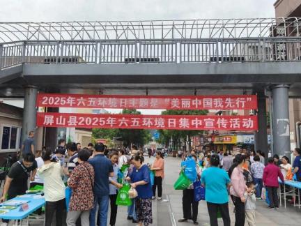 屏山县检察院开展2025年六五环境日集中宣传活动