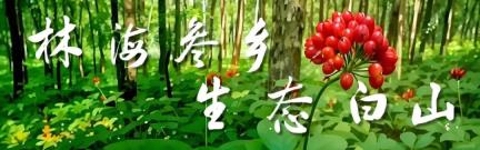 文明实践我行动 | 白山公益电影放映活动助力精神文明建设