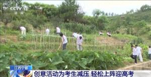趣味运动会、解忧杂货铺 各地创意活动让考生轻松迎接高考