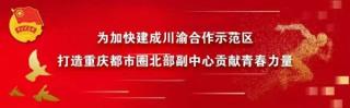 2025年“创青春”川东北经济区青年创新创业大赛决赛广安参赛项目路演青创沙龙成功举办