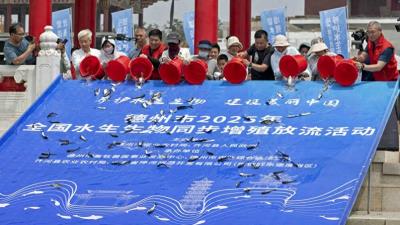 放流鱼种10万尾 德州举办全国水生生物同步增殖放流活动