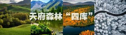 四川攀枝花开展探秘苏铁研学活动