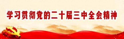 数智赋能育新人 全民共享促发展丨双鸭山市县部门联动开展“数字素养进校园”活动