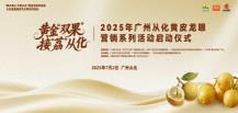 广州从化：“双果”接“荔”上市 优质食材亮相广东餐饮行业品鉴活动