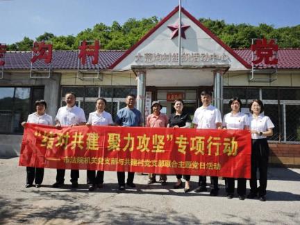 抚顺中院民三庭党支部和共建村党支部联合开展党日活动