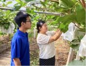 鄢陵：信息工程学院实践团走进碧玺葡萄采摘园开展实践活动