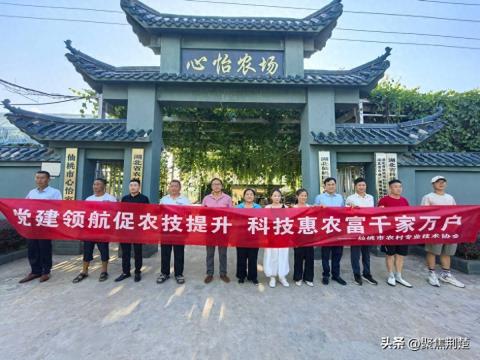 党建活动赋能农业发展 仙桃农技协党员群体为乡村振兴增光添彩​