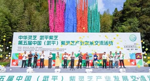 武平县万安镇：紫灵芝产业交流活动绽放异彩