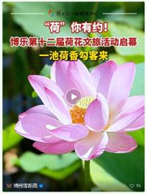 夏日限定！新疆博乐荷花节开幕，错过要等一年！