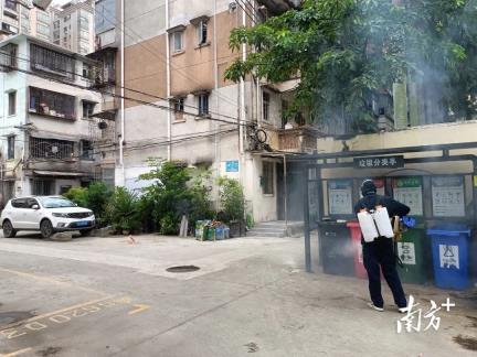 干群同心显担当！霞山开展“爱卫灭蚊”活动筑牢健康防线