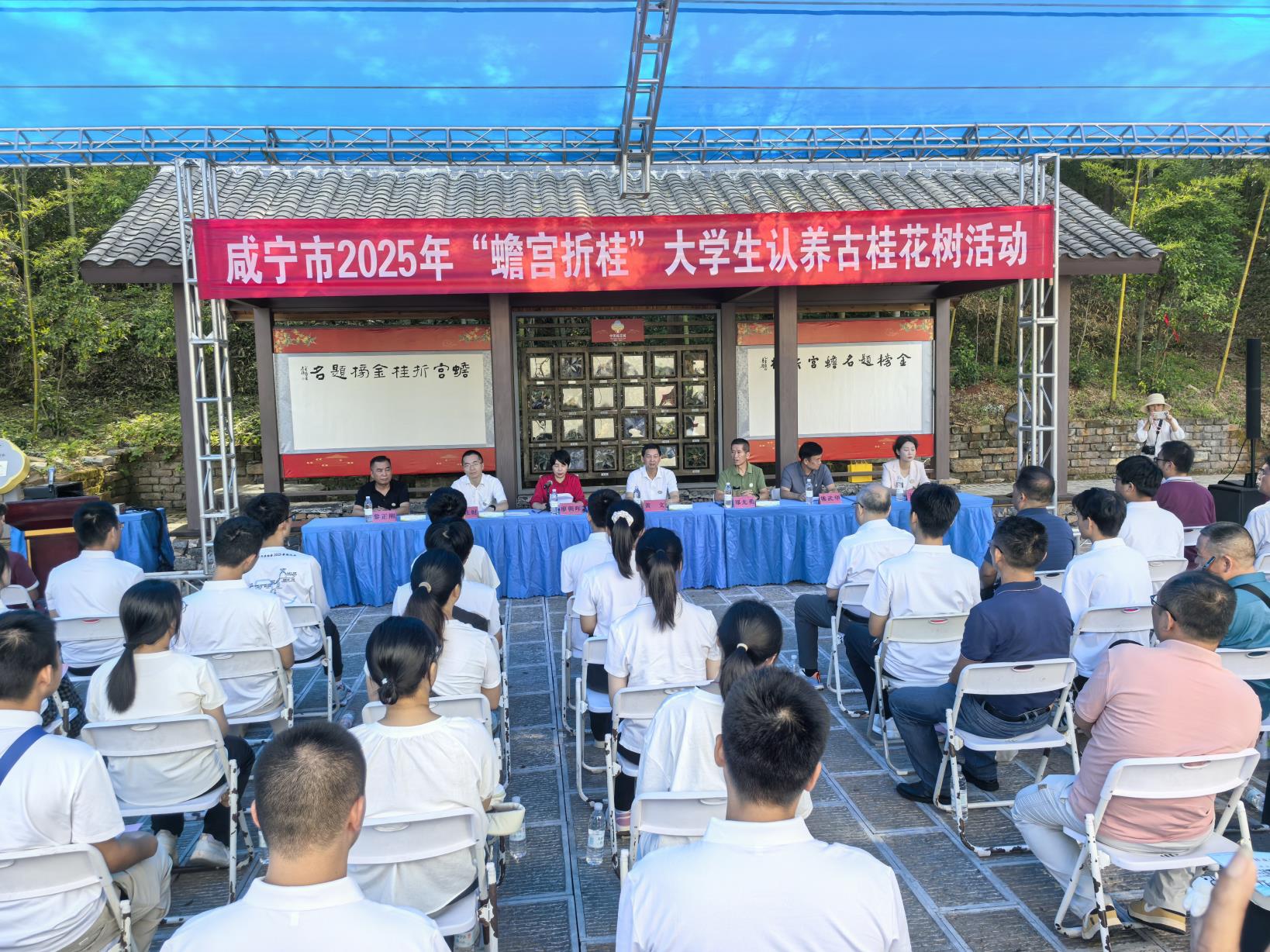 连续4年“蟾宫折桂”！咸宁市2025年大学生认养古桂花树活动启动