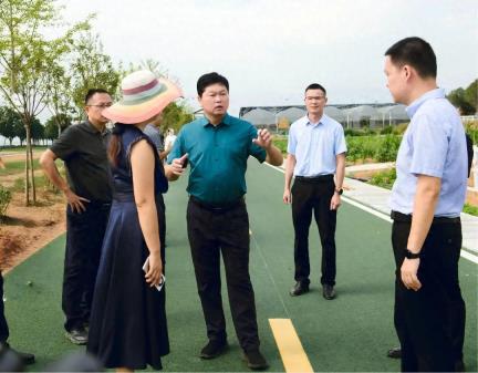 以“水”为媒全力打造文旅新业态——2025年益阳市文旅融合发展大会重点活动区域完工进入“