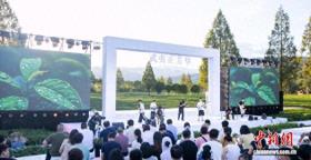 2025武夷山茶园文化季暨两山青年嘉年华在福建武夷山举行