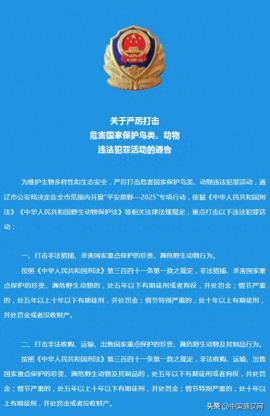 最新通告！严厉打击这种违法犯罪活动！