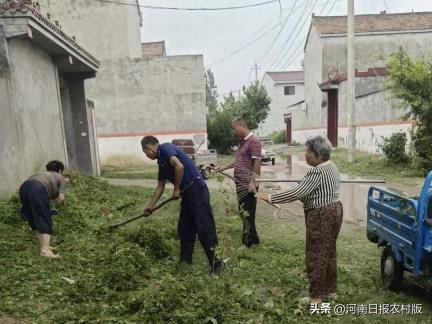 商丘市梁园区王楼镇积极开展基孔肯雅热宣传防控活动