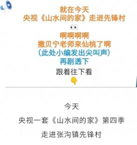 什么活动让撒贝宁、凯丽、祝勇齐聚仙桃？