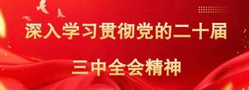 共赏庭院美 共促新风尚——乌兰察布市妇联美丽庭院建设现场观摩活动圆满举行