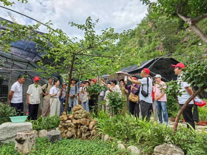 探寻本草奥秘，传承养生智慧——三门峡市中药材学会开展颐享本草养生研习营活动