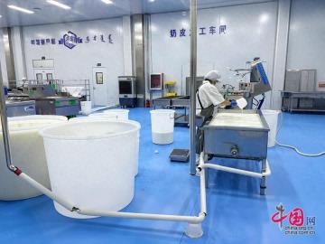 锡林郭勒盟：奶酪文化产业园推动传统乳制品产业高质量发展