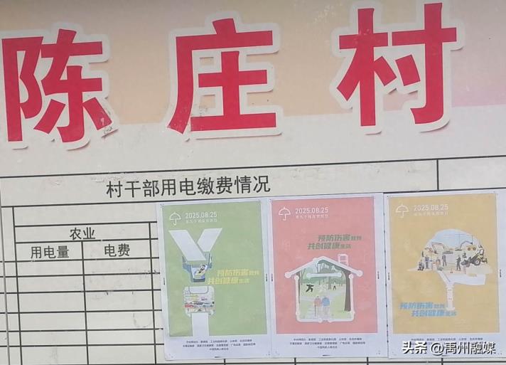 禹州市第九次全国残疾预防日活动：多形式宣传，提升公众意识，推动行动计划落实