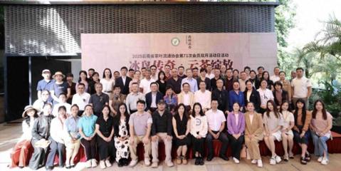 “冰岛传奇·云茶绽放”活动举办 共探云茶高质量发展路径
