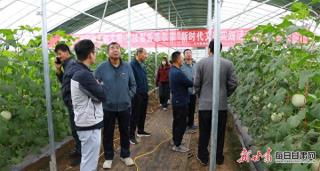 “田间地头践文明·农技服务惠农家”新时代文明实践活动走进瓜州