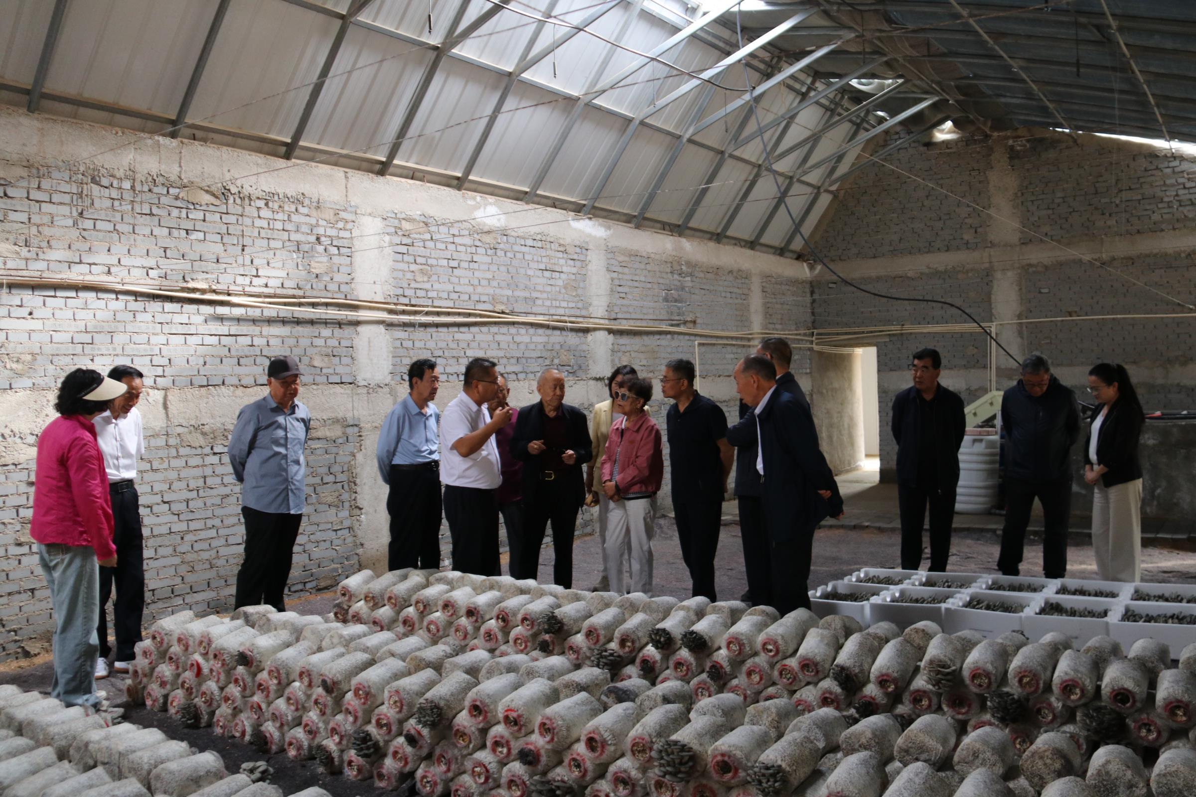 银发丹心献余热——武威市开展2025年全市高质量发展重大项目地级退休干部观摩考察活动见闻