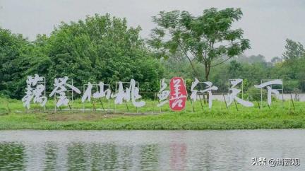 2025中国农民丰收节湖北主场·仙桃黄鳝消费季活动举行