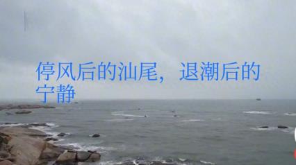 据知悉者透露:汕尾海边退潮后，满地都海鲜。市民好奇地活动起来