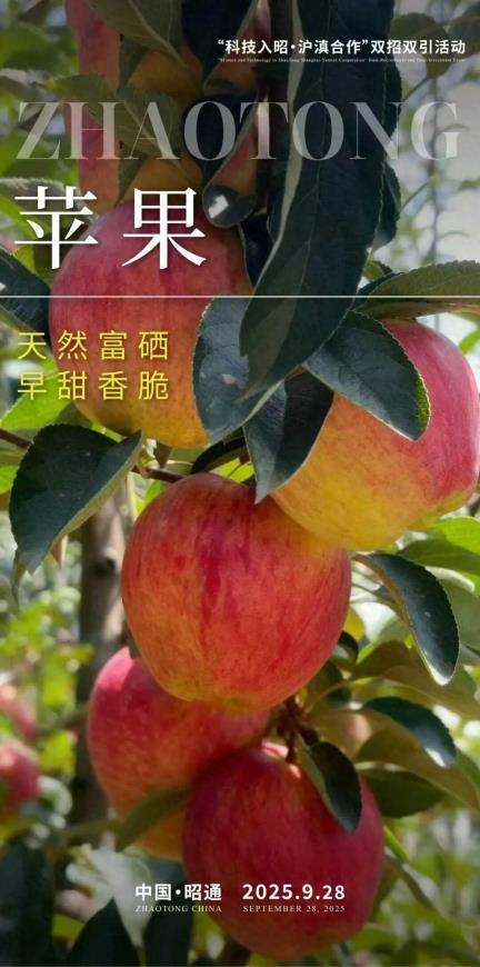 数百名院士专家齐聚昭通，“双招双引”活动将于9月28日启动