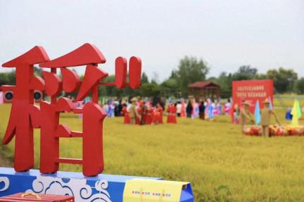正定曲阳桥镇第二届&quot;荷你蟹逅&quot;稻菊农业观光游活动盛大启幕