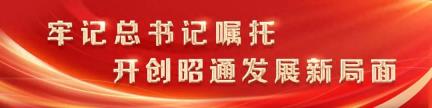 “科技入昭·沪滇合作”双招双引活动在昭阳启动