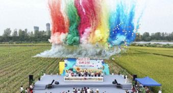 芜湖湾沚镇举办“相思芳华 葵映金榜”活动